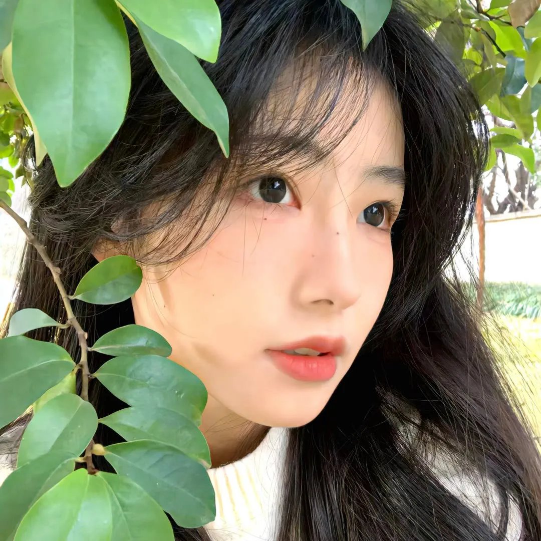 飞扬的青春